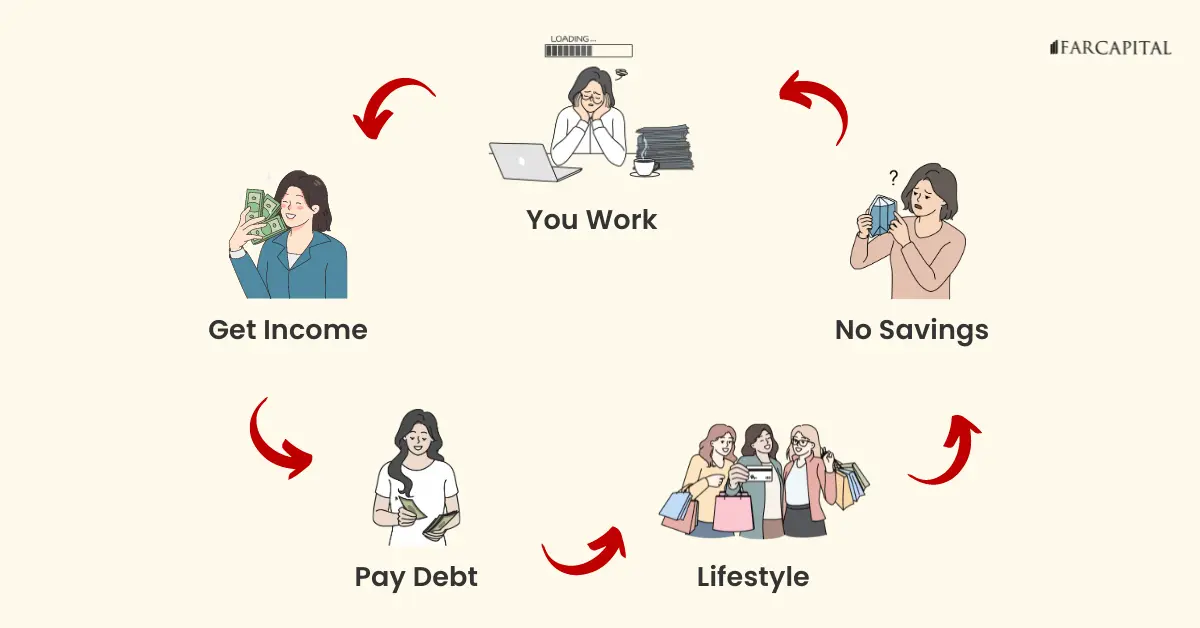 Life%20Cycle
